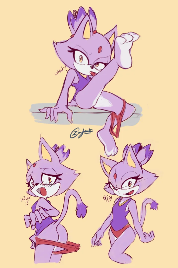 Well Blaze is a cat [ ZippyZero~ ] posted by ZeroZInFinite