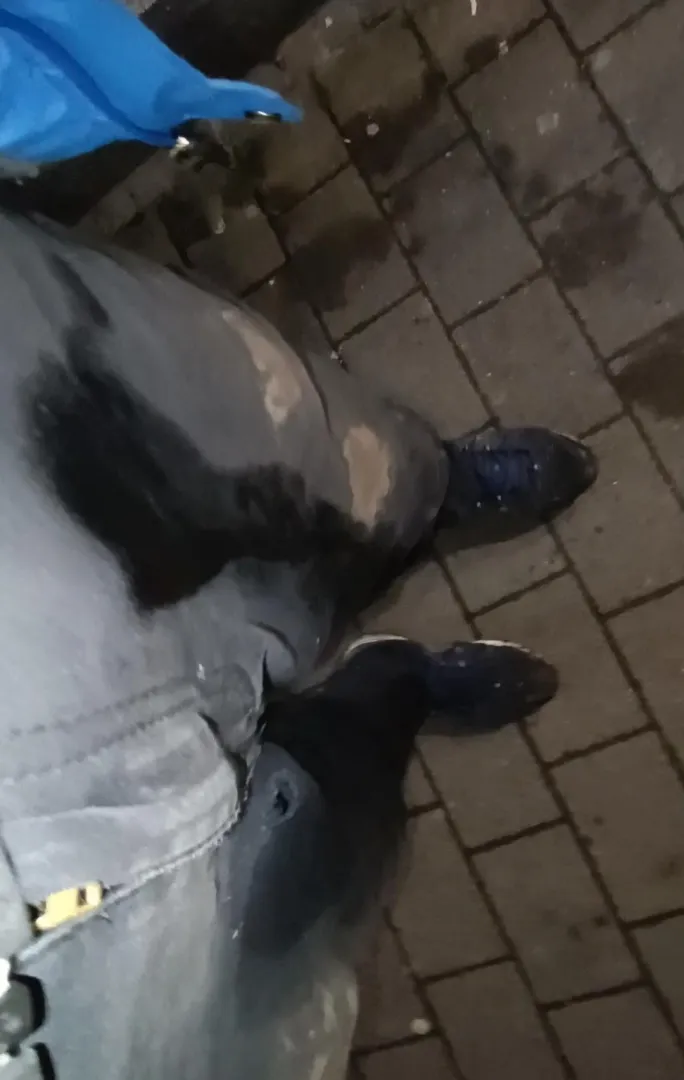 Wet myself while shopping last night... posted by Urmel2021