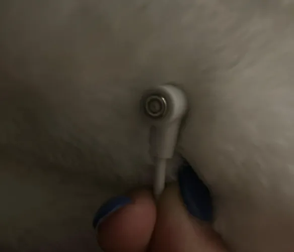 What can I do to fix this? by KermitDislikesCookie