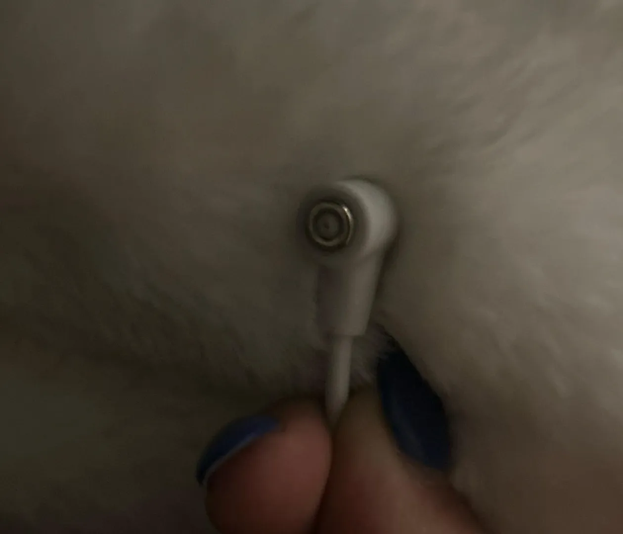 What can I do to fix this? posted by KermitDislikesCookie