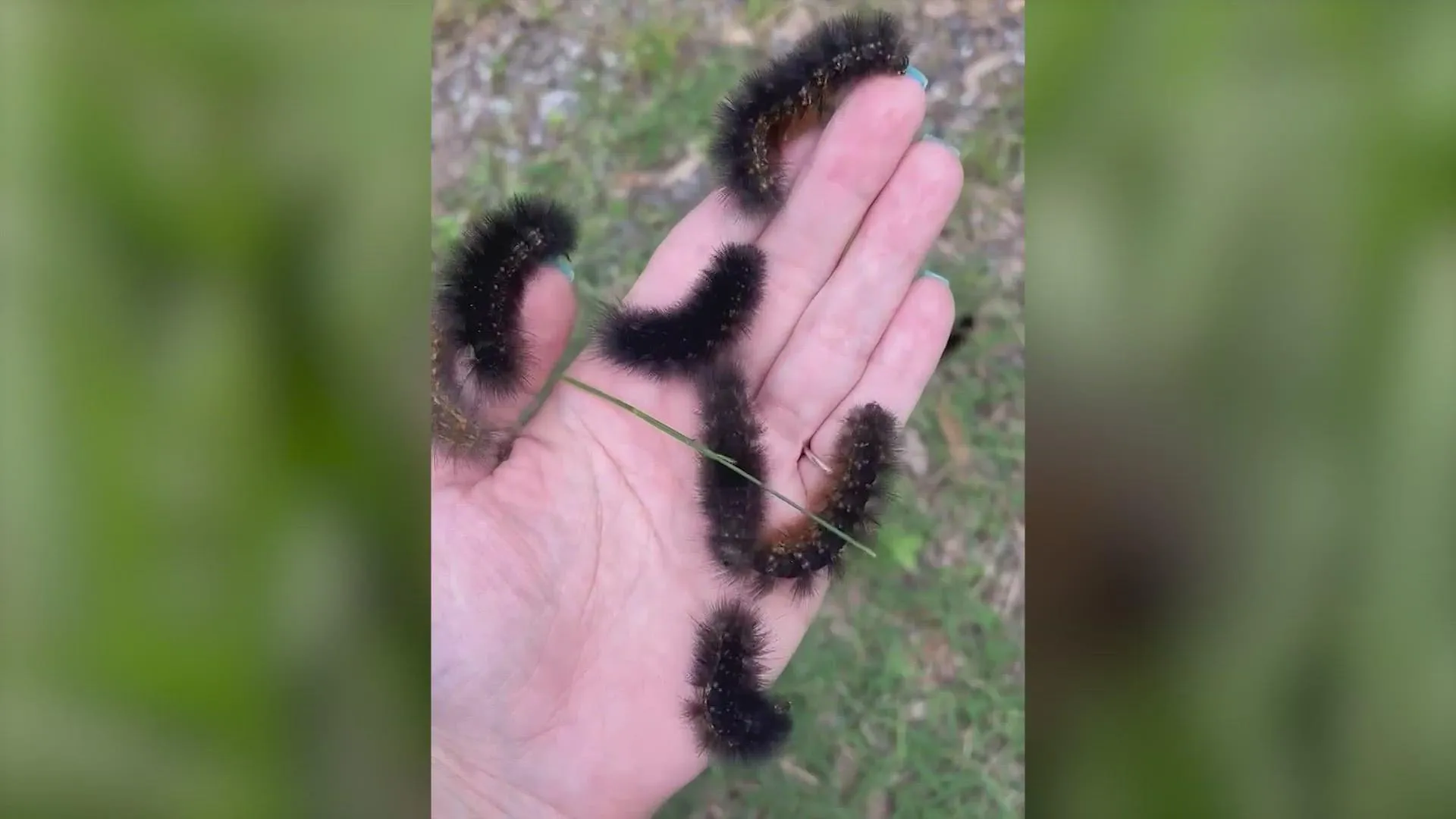 What can I knit with this yarn? posted by PersistentSheppie