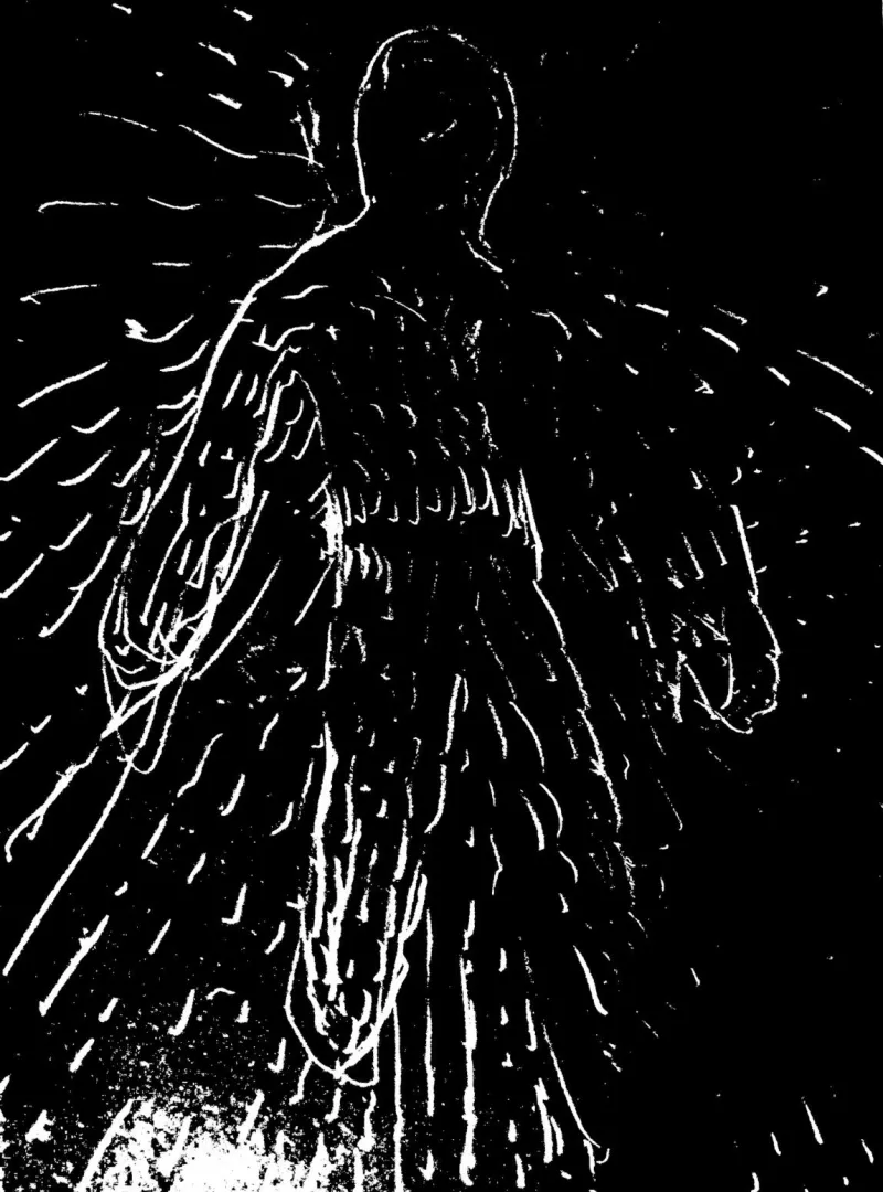 What could be this posted by Vitke-vikikrem