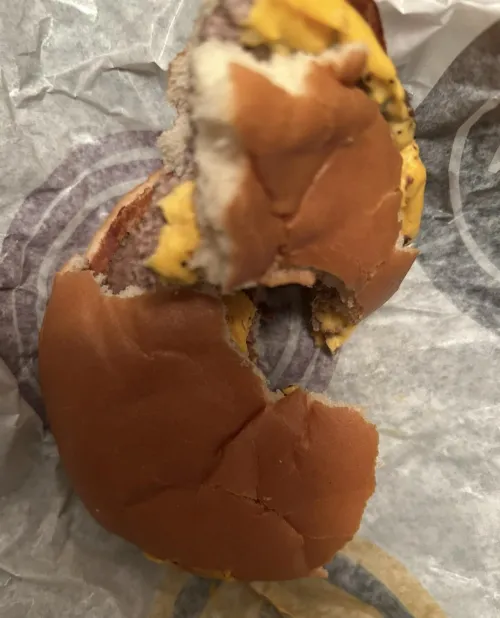 WHAT DO YALL FGC EAT? by MRHOWERDCEO