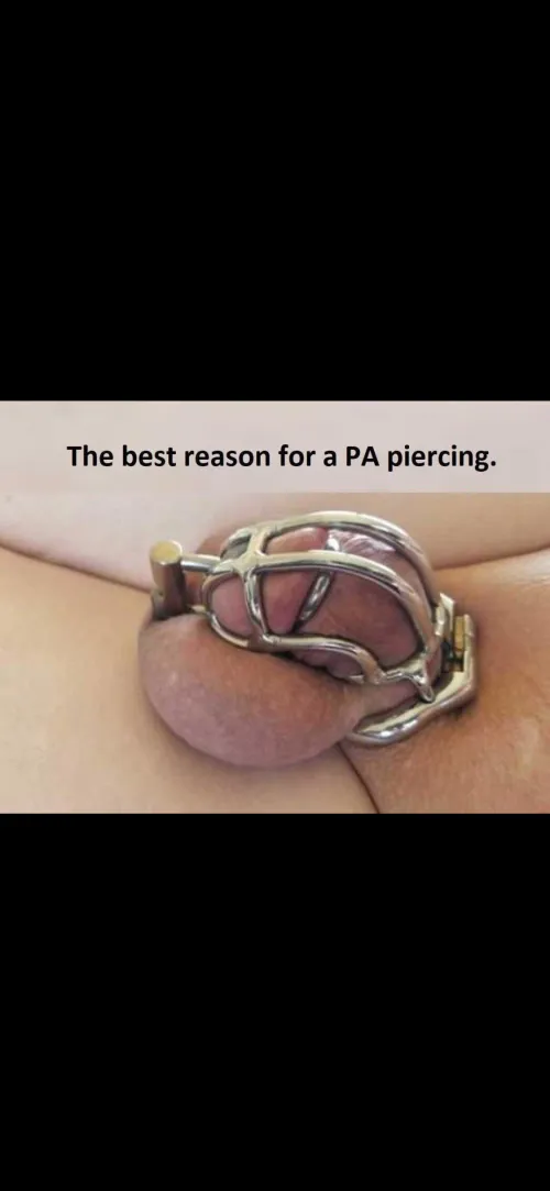 What do you guys think about this glans ring? by Neat-Worker-8745