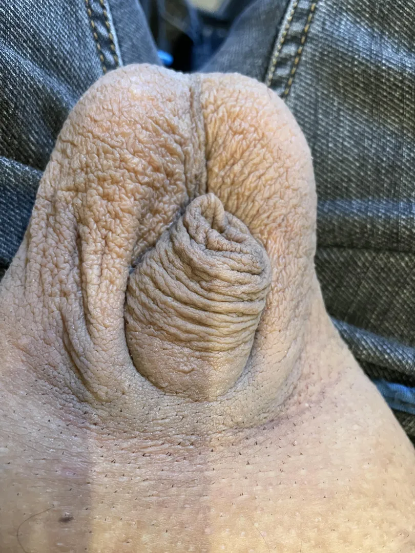 What do you like better my little cock or my testines posted by Bernive