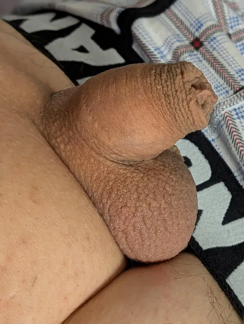 What do you think? by couple_nature11