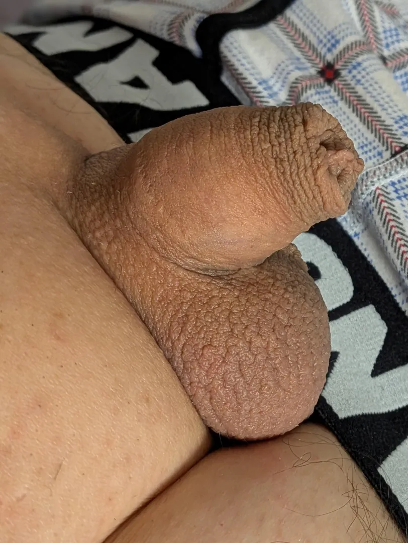 What do you think? posted by couple_nature11