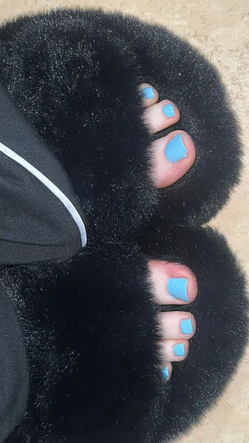 What do you think of my blue toes in my slippers by phoenixpheet