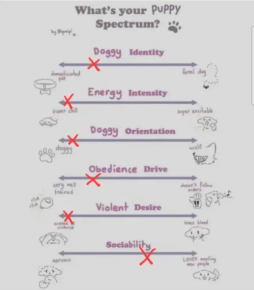 What does everyone think of my puppy? :D by 21vkp