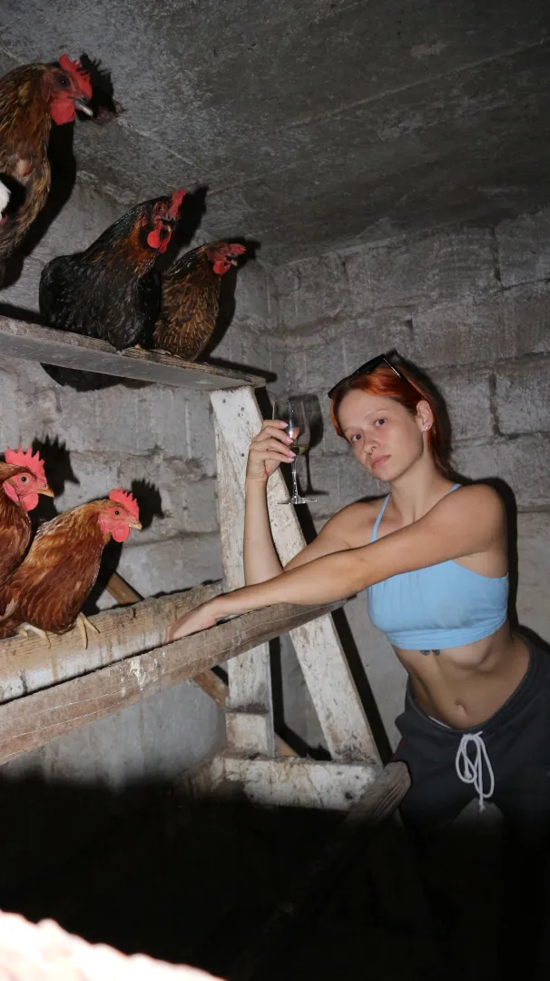 What happens in the hen house stays in the hen house posted by RedheadFairy03