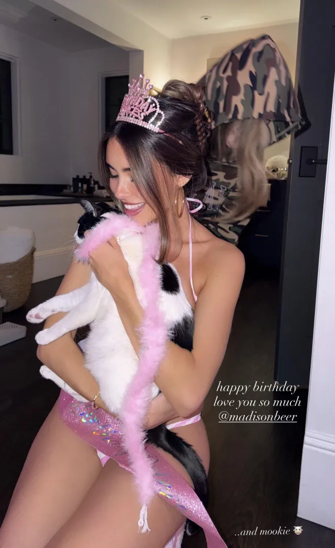 What is she wearing here? posted by MegaHornyNia69