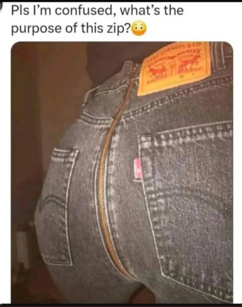 What is this zipper for posted by Lmanwell23