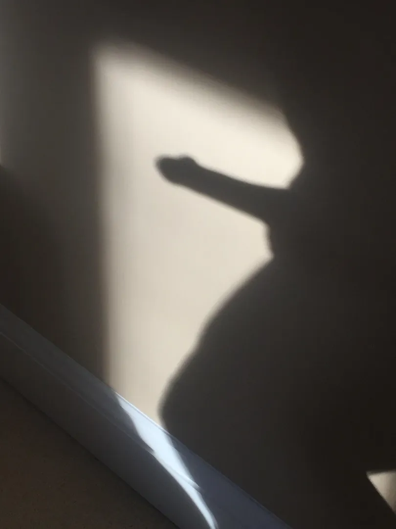 What they can see they can see … posted by Burly4321