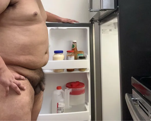 What to make for dinner by Fancy_Rhubarb_7469