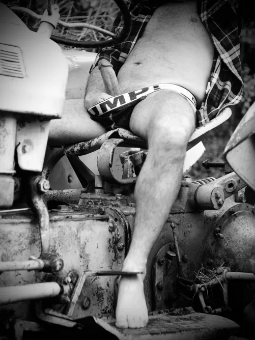 What to plow? (55) by Low_Appeal_1752