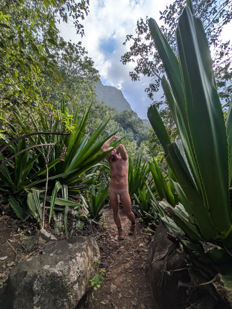 what type of plant is that? posted by kinkergartenx