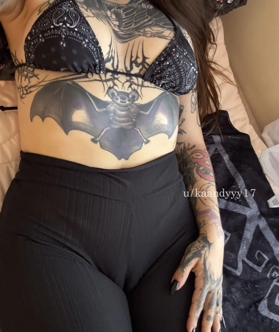 what would yo dog with all this :3 posted by kaandyyy17