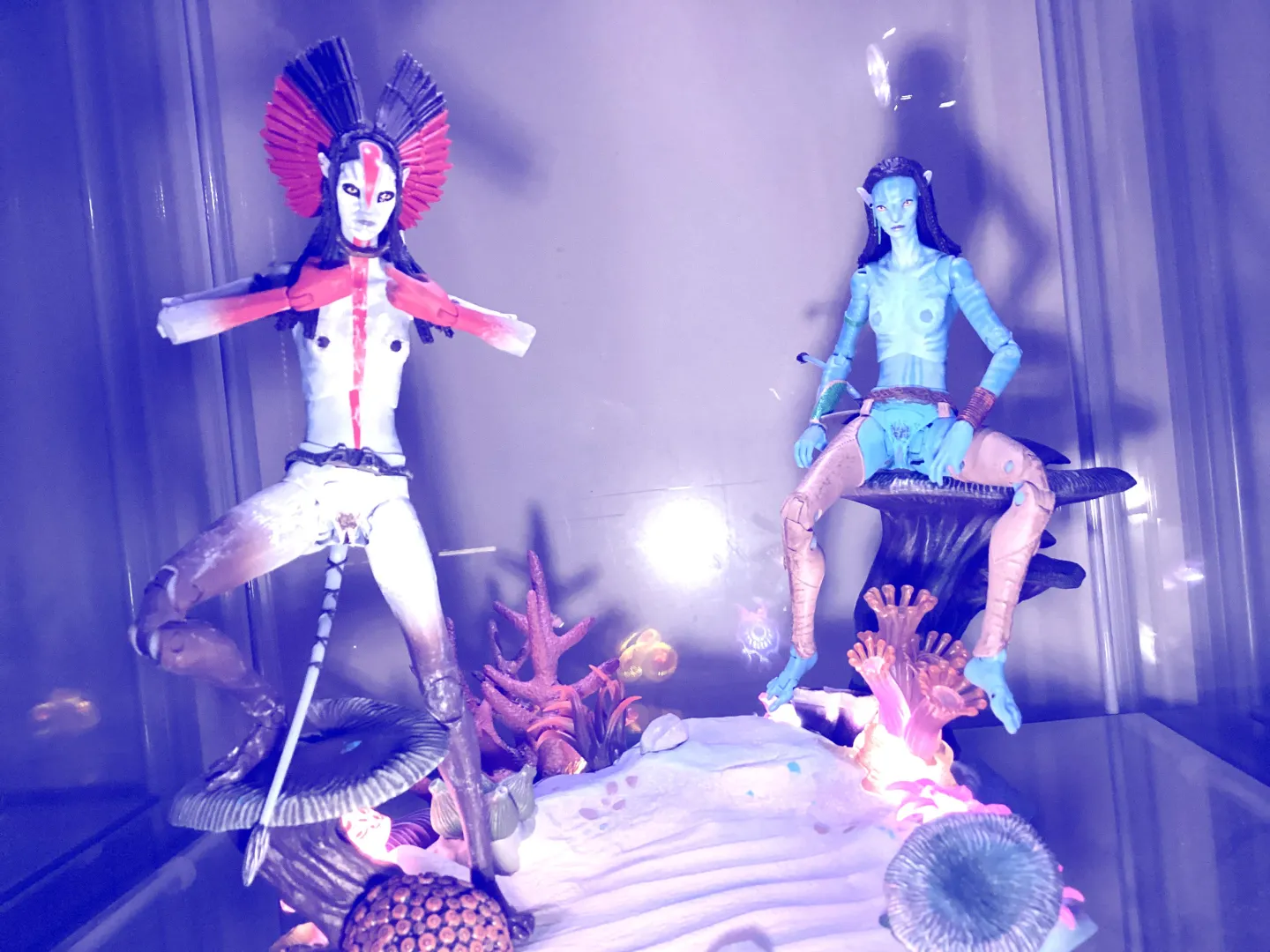 What would you do if you came across these two… posted by Ok_File8369