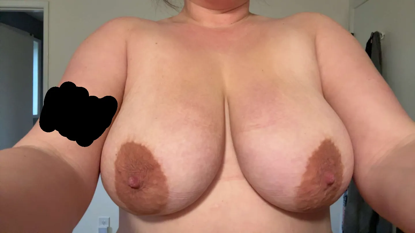 What's one more? posted by personumayknow