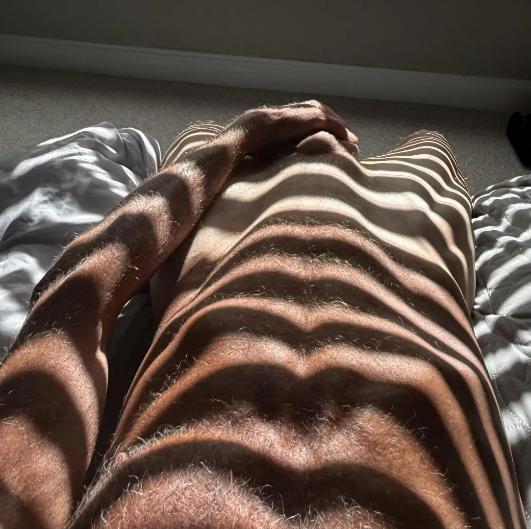 What’s that lurking in the shadows? posted by Jazzlike-Motor2299