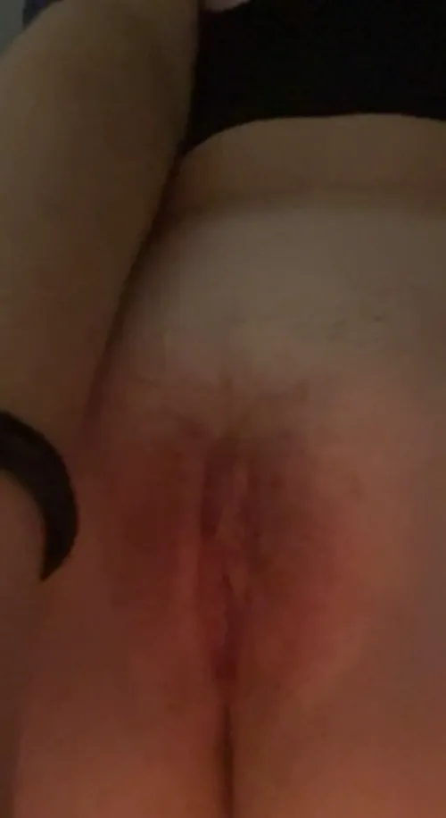 What's the mood here? snapchat:harpiecotton by VelourPermission