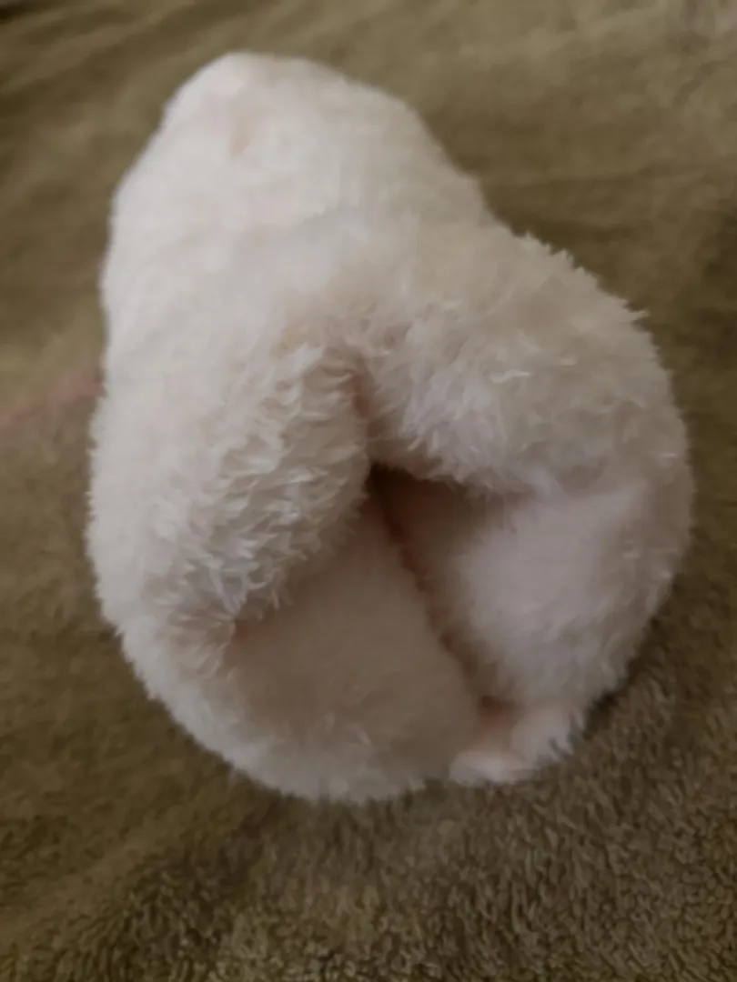 What's your preference... Cookie or slit mod? posted by optimistprime44