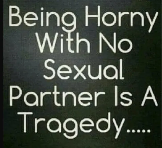 When all else fails, Reddit never lets us down. by PhotographTop6485