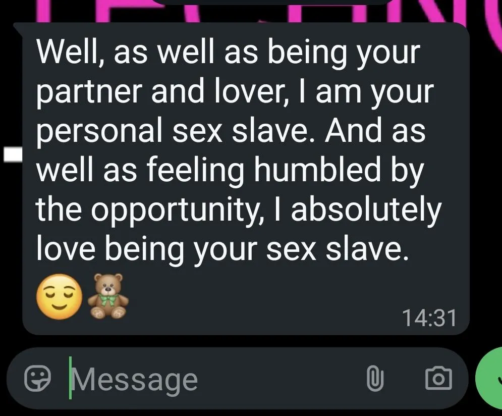 When your toy starts calling himself 'slave' [melts] posted by Still_Way_9599