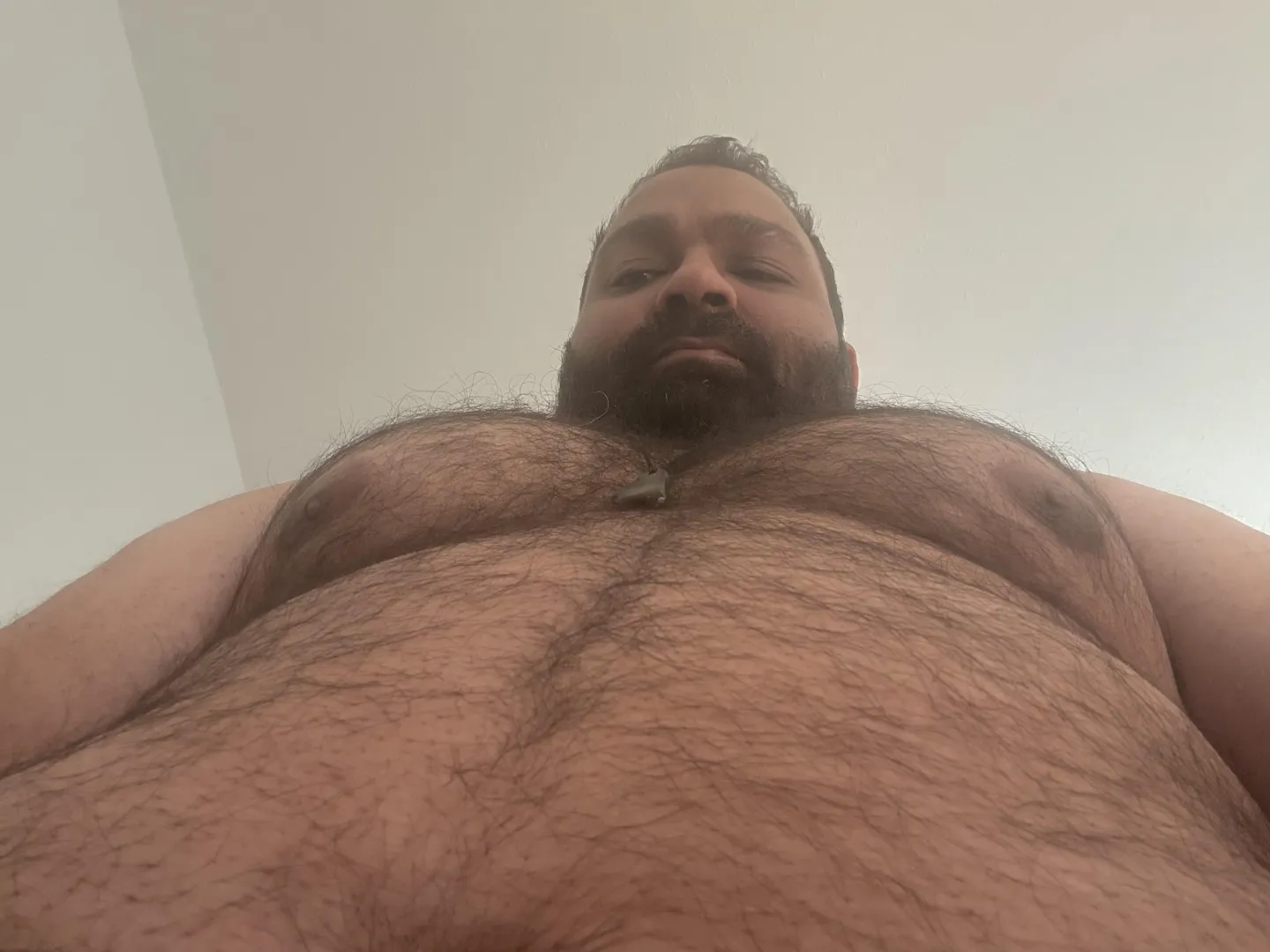 Where are all the good boys? posted by Majestic_Feature_868