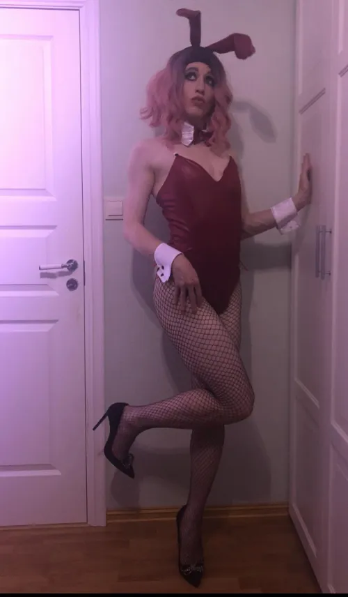 Where do i audition as a bunny girl? by NorseCD