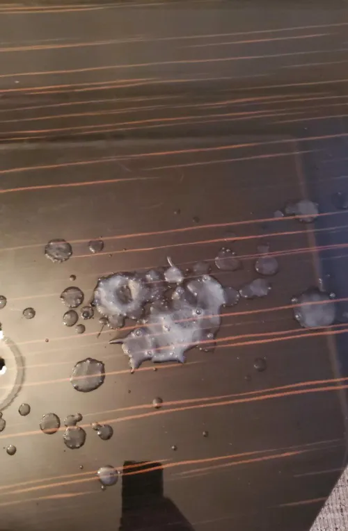 Where do you want the next one.. by Firm_Election8140