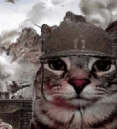 Where is the FTM x Cis F content? posted by circusfreek1