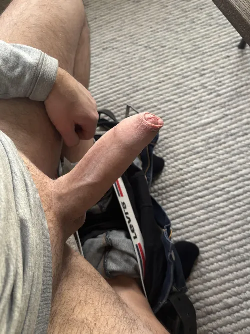 Where would you rank it erection wise? by Pegbys