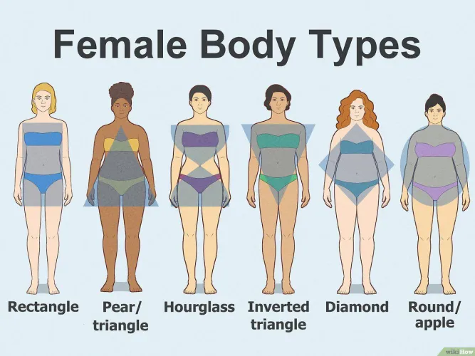 Which Female Body Type Do You Prefer? by Theo_Cherry