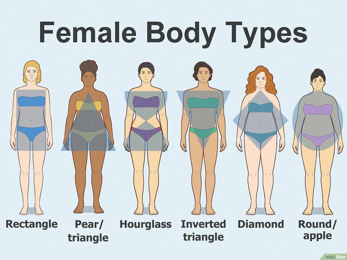 Which Female Body Type Do You Prefer? posted by Theo_Cherry