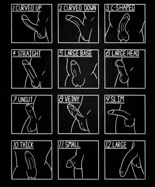 Which one are you? by Direct_Literature_53