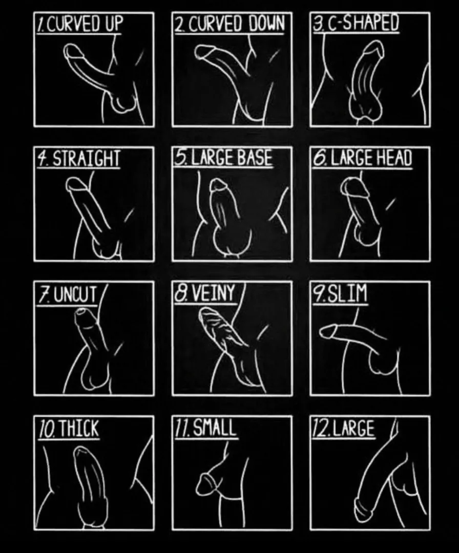 Which one are you? posted by Direct_Literature_53