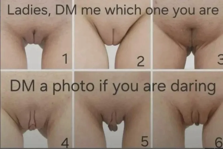 Which one are you? by DoughnutTop132