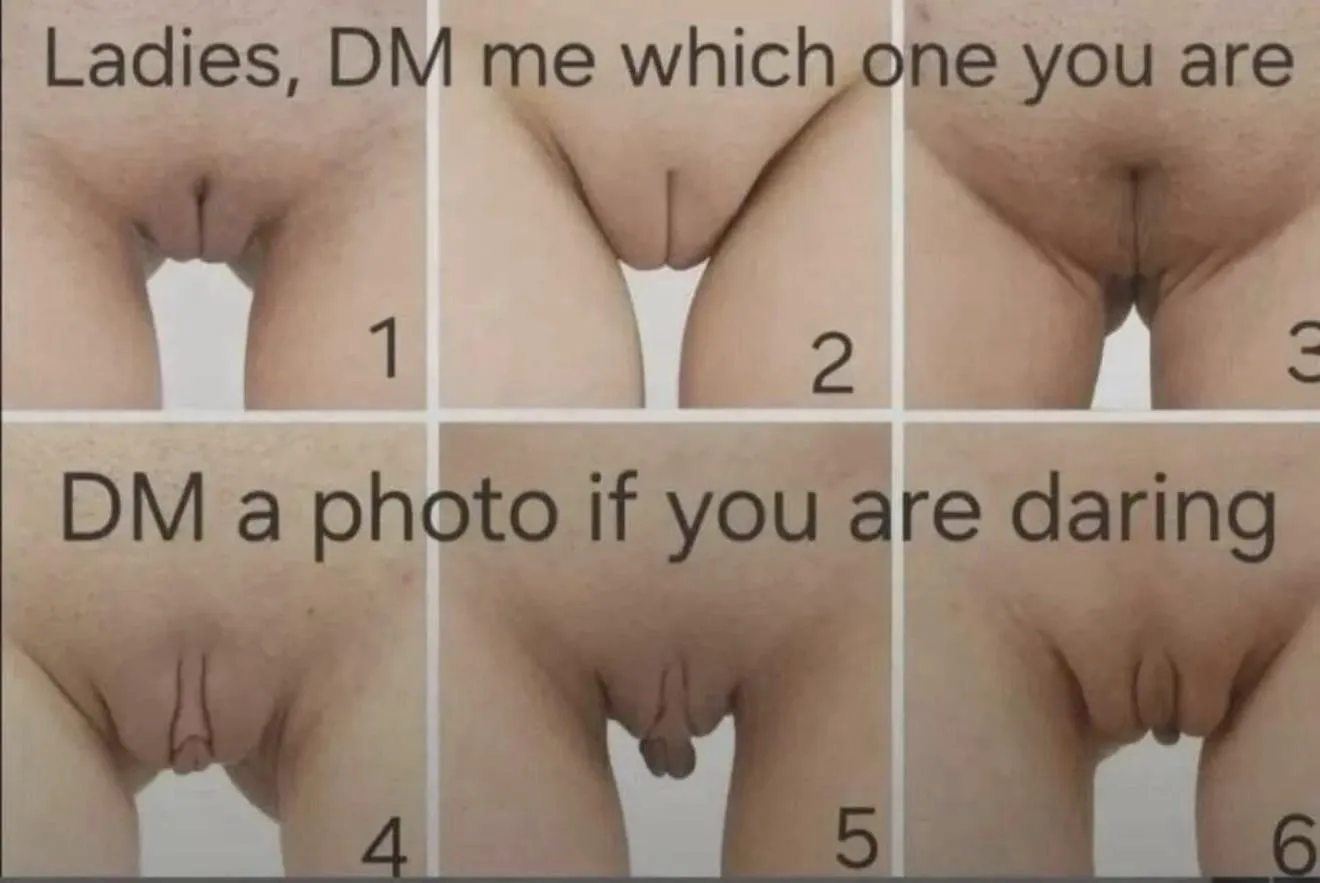 Which one are you? posted by DoughnutTop132