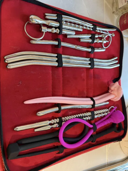 Which one do you wanna see me use first? by Right_Attention_2402