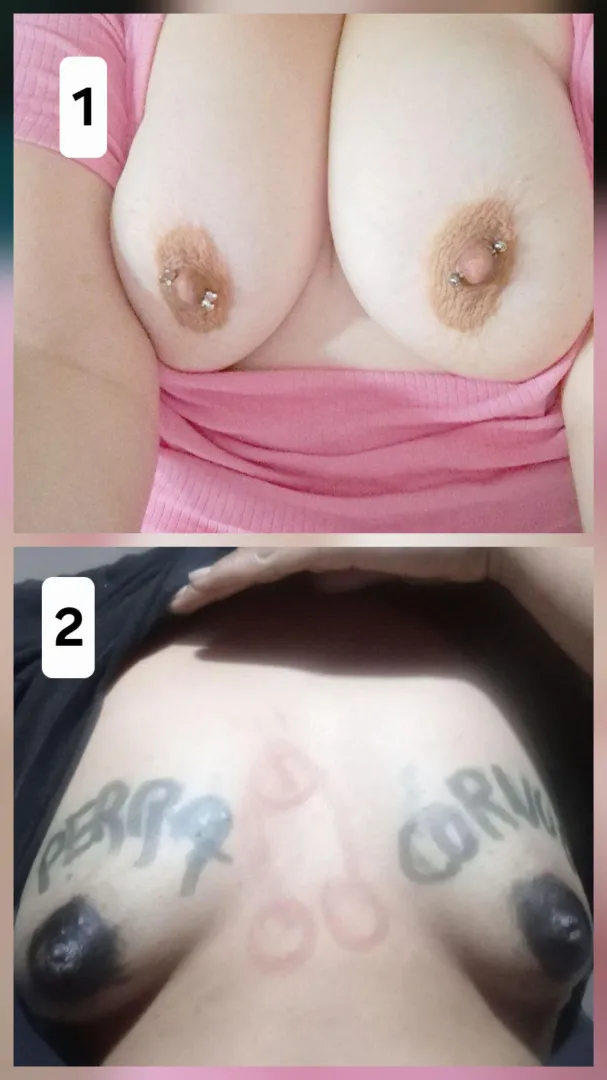 Which pair of breasts do you prefer? posted by laslunasdeabril