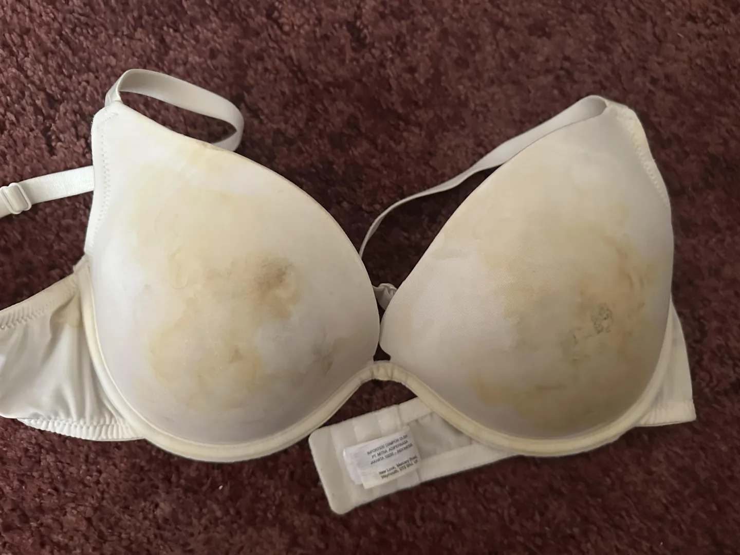 white bra ruined with cum stains posted by Old-Cranberry-5759