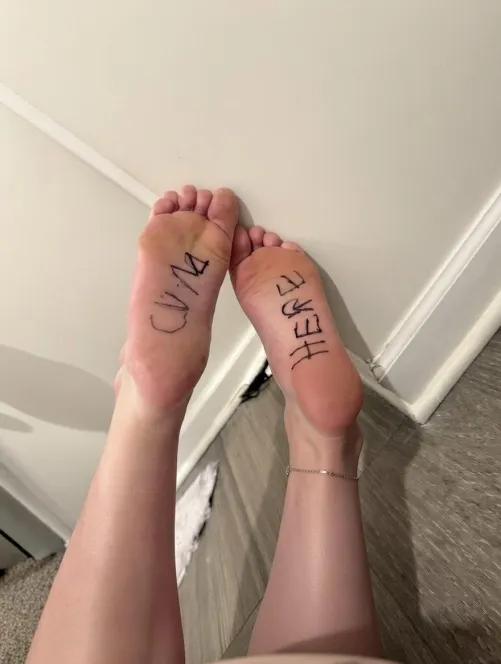 Who can get the job done ?? by Dry-Tax5820