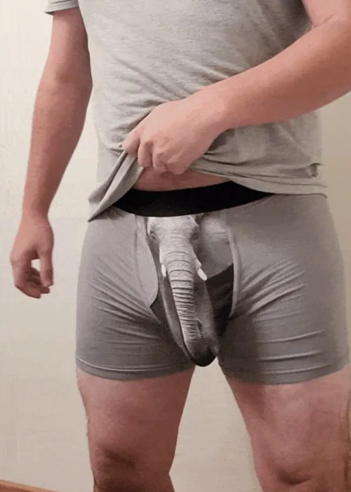 Who doesnt like elephants? by Justfeelsgaming