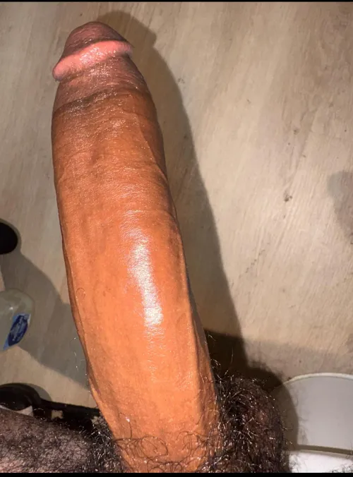 Who tryna suck it by bigdonnyvandebeek