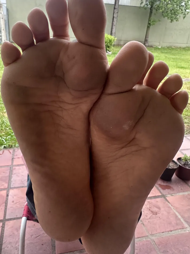 Who want them ? posted by PlantLover_72