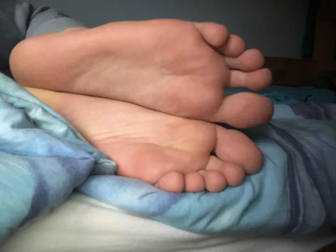 Who wants those paws? >\\\< by Fabulous-Yak-4505