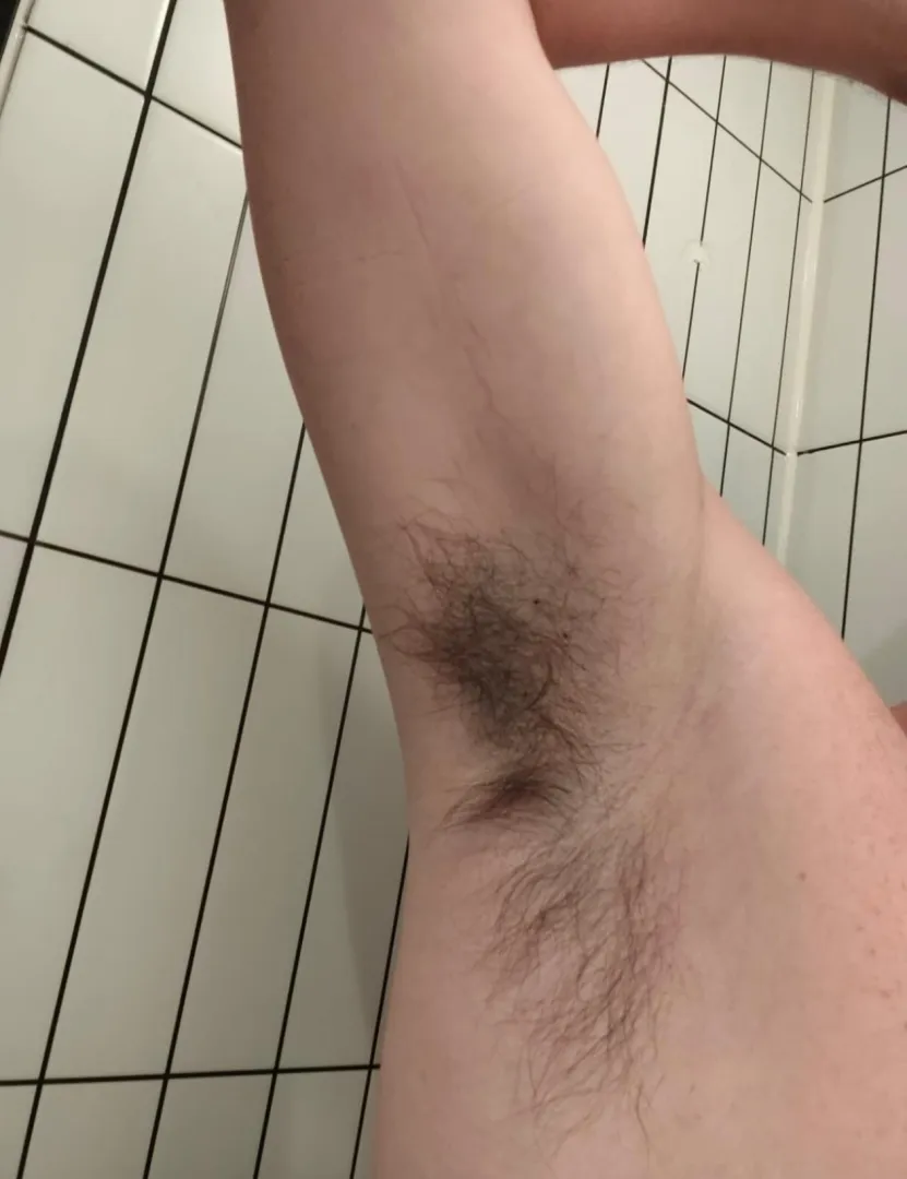 Who wants to feel my sweaty armpit hair on their tongue? posted by LakeClear7614