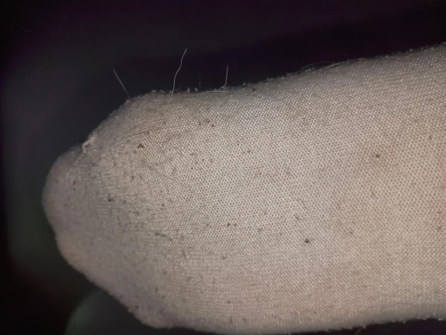 Who would like to taste my dirty and sweaty socks? [F] posted by Playfultoes35