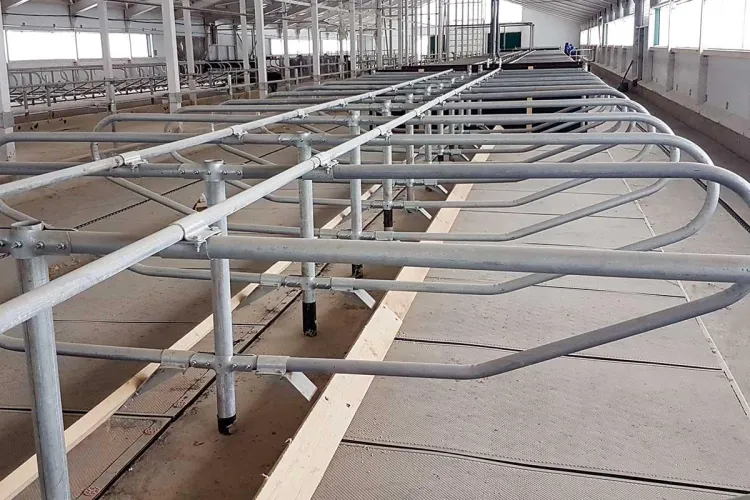 Who would really want to come to a farm among cows, be milked, and live like a cow for several days or weeks? by No-Hovercraft-7866